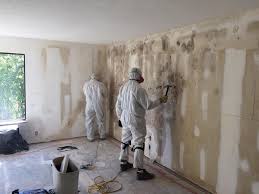 Asbestos and Lead Testing During Mold Inspection in Vacaville, CA